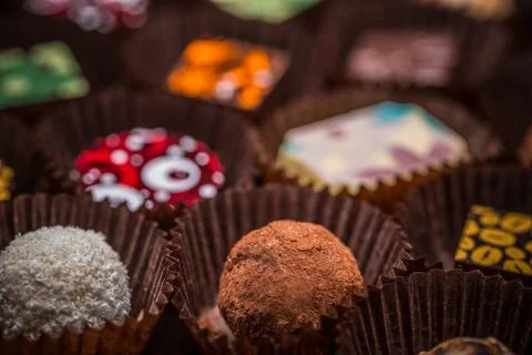 Gourmet assorted truffles Stock Photos