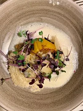 Gourmet menu with cod fish and vegetables Foto stock