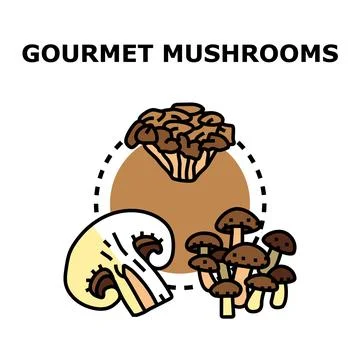 Gourmet mushrooms flat line vector concept drawing Ilustración de archivo