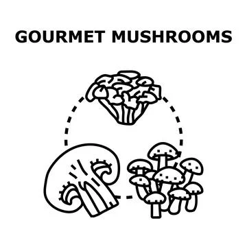 Gourmet mushrooms flat line vector concept drawing Ilustración de archivo