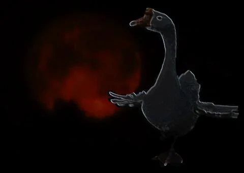 GOUSE  by  MOONLIGHT Stock Illustration