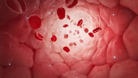Gout crystals inside blood vessels. Drug molecules flow with bloodstream Vidéo 345012776