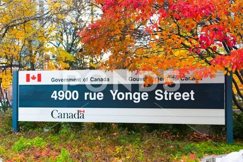 Government of Canada sing in Autumn Season, Toronto, Canada-22 October 2017 Stock Photos