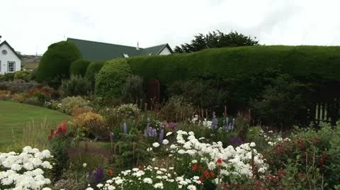 Government House Stock Footage 10810150