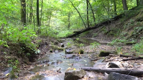 Governor Dodge State Park Lost Canyon Creek Time Lapse Vídeos de archivo 139732755