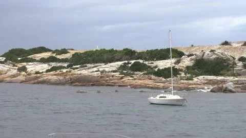 Governor Island in Bicheno 動画素材 201002649