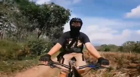 Gowes with Polygon Xtrada Video stock 171412623