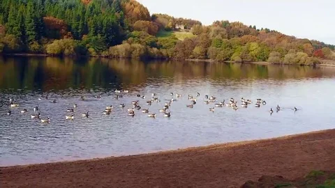 Goyt valley 1 Stock Footage 69157933