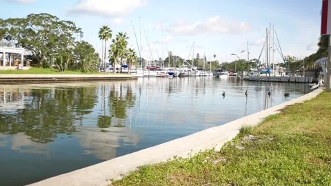 GPMarinaBirdsFlyP1050365A Stock Footage 315908353