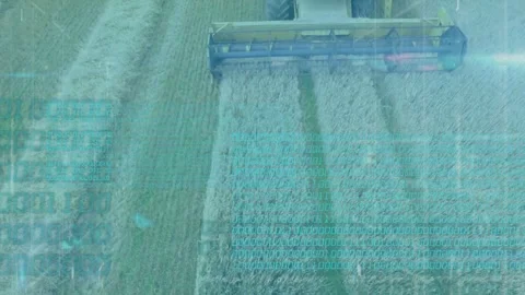 GPS-guided combine cutting steady swaths for harvest, teal overlay showing yield 库存影片 334204119