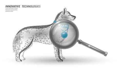 GPS tracker jeton for pets. Cat and dog technology finding on map mobile app Stock-Illustration