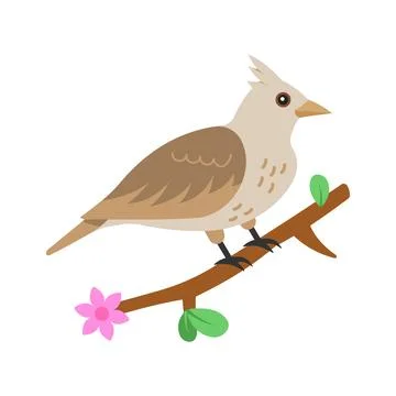 Grab this flat vector asset of a lark bird for premium use. Stock Illustration