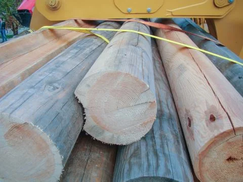 Grab logs Stock Photos