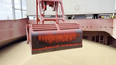 Grab wheat 4 Stock Footage 327986473