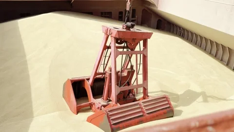 Grab wheat 7 Stock Footage 327986536