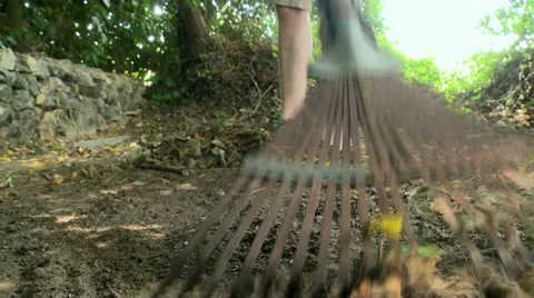 Grabbing Leafs in the Yard Stock Footage 22385087