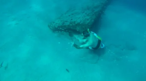 Grabbing Sharks Stock Footage 7137469