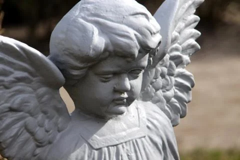 Grabengel Stock Photos