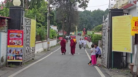 Grace in Motion: The Walking Buddha Within the Temple Stock Footage 317071094
