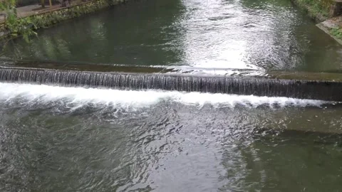 The Grace of Water: Spectacular River Flow Views Stock Footage 313565196