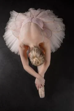 Graceful ballerina bending forward in pink tutu Stock Photos