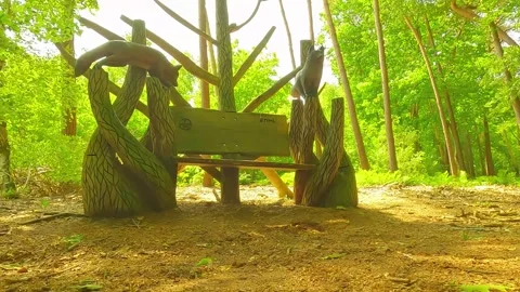A graceful bench in a forest in the daylight Stock Footage 244581701