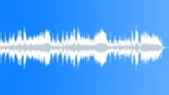 Graceful Dancer Stock Music