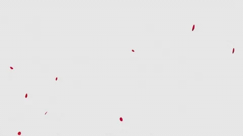 Graceful Falling Red Rose Alpha Clip Stock Footage 324900336