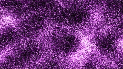 Graceful Flow Of Tiny Purple Particles In Motion Video stock 279655532