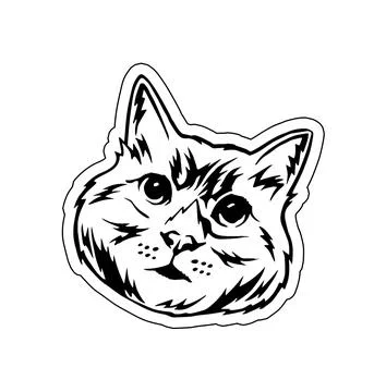 Graceful Gazes Illustration