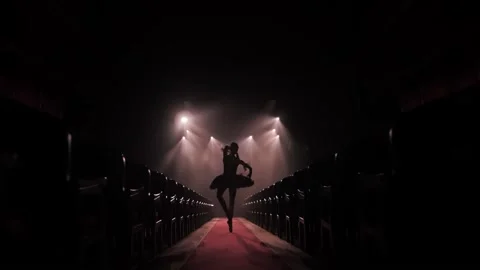 Graceful hard-working ballerina dancing i in spotlight. Silhouette Stock Footage 220512395