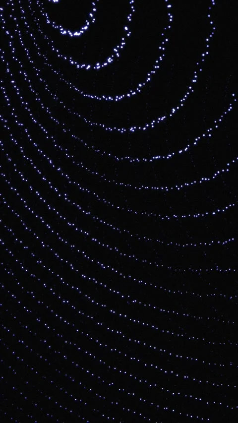 Graceful light patterns swirl against a dark backdrop Stock Footage 314622458