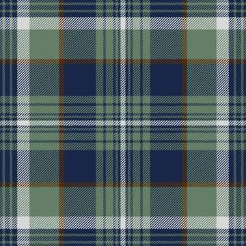 Graceful pattern textile fabric, winter background plaid vector. Genuine se.. Illustrazione stock