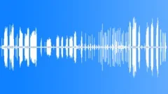 Graceful Warbler Song Sound Effect