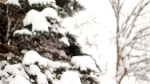 Gracefull Snowfall Stockbeeldmateriaal 33995593