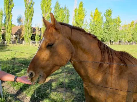 Graciously Accepting Stock Photos