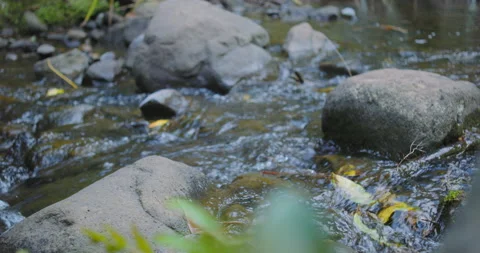 Graded C4K 120fps Fresh Stream of water Stock Footage 136549906