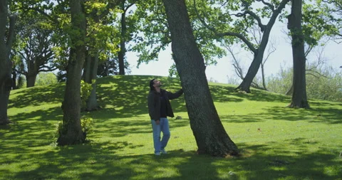 Graded C4K 120fps Man touching big tree looking up Stock Footage 136522429