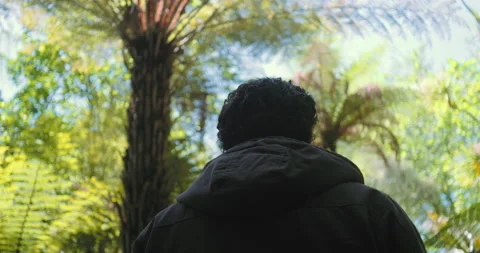 Graded C4K 120fps Man's back in forest Stock Footage 136532463