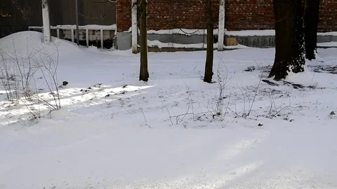 Grader Cleans The Street Of Snow On The Front View Stock Footage 84656132
