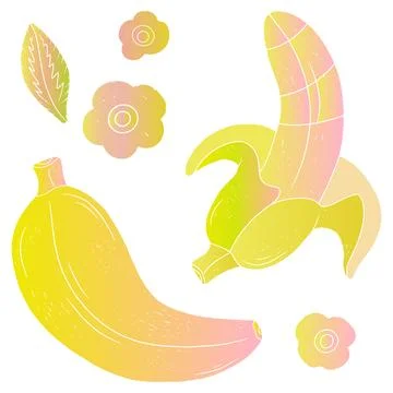 Gradient Bananas. Tropical exotic set. Texture vector elements Stock Illustration