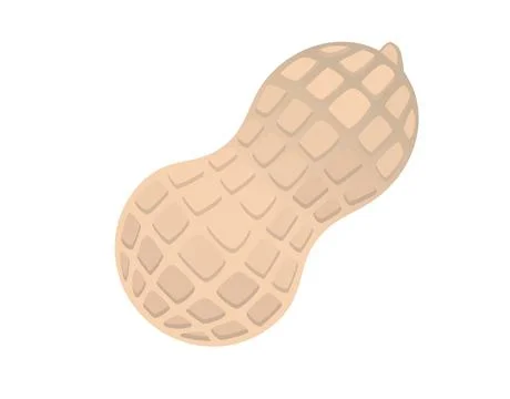 Gradient beige natural peanut nut icon for food menu Stock Illustration