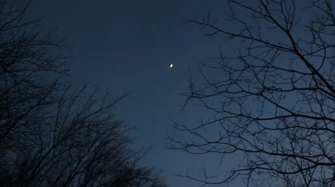 Gradient blue sky with the glowing Moon, between the trees. Budapest,Hungary Stock Footage 46219913
