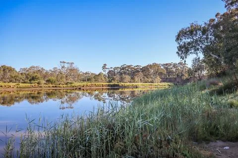 Gradient blue sky over the swamp in spring Stock Photos
