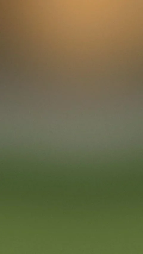 Gradient blur with warm brown and green tones, seamless loop background. 4K. Stock Footage 309856199