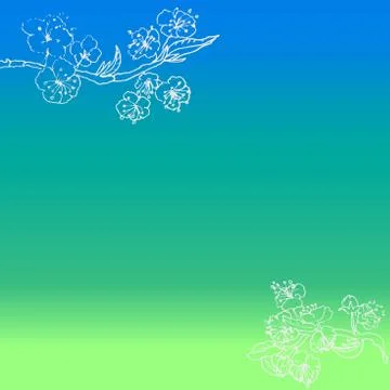 Gradient bright background with white flowers. Stock Illustration