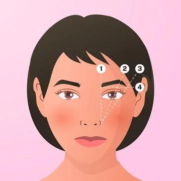 Gradient brow mapping illustration Stock Illustration