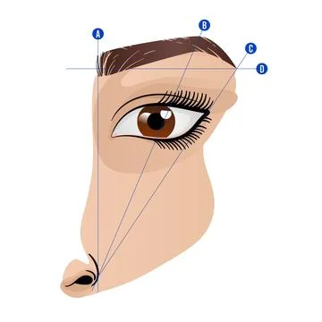 Gradient brow mapping illustration イラスト素材