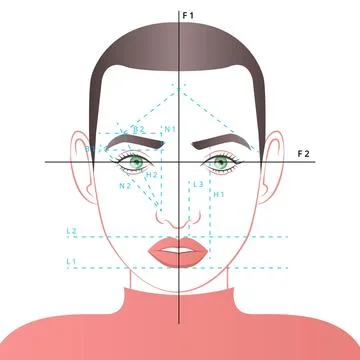 Gradient brow mapping illustration Illustrazione stock