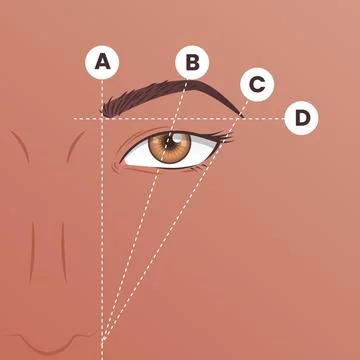 Gradient brow mapping illustration Stock Illustration